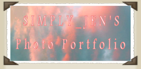 Jen portfolio