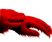 <img:stuff/red-gloves.jpg>