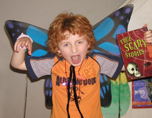 <img500*0:stuff/scary%20butterfly.jpg>