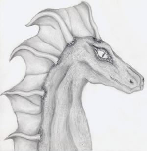 <img300*0:stuff/sg_dragonprofile.jpg>