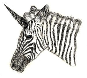 <img300*0:stuff/sg_zebrauni.jpg>