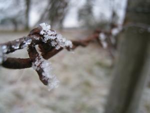 <img300*0:stuff/thefrozenfence.jpg>