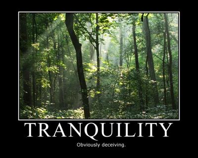 <img400*0:stuff/tranquility-trin.jpg>