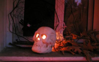 <img400*0:stuff/window%20skull.jpg>