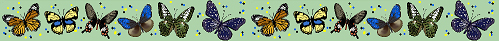 <img:http://elftown.eu/stuff/z/10550/Butterfly%2520Graphics/butterflydiv.jpg>