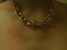 <img0*100:stuff/z/147496/Thick%2520Chain%2520Necklace.1/P8040093.JPG>