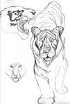 <img0*150:stuff/z/15082/Sketches%2520and%2520Doodles/tigger-sketch.jpg>