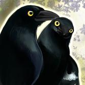 <img0*167:http://elftown.eu/stuff/z/15586/kaipagecrap/Pied_Currawong_by_blackbirdkat.jpg>