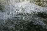 <img150*0:stuff/z/169023/Bubbles%2520in%2520the%2520Water/i1278943447_5.jpg>