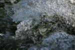 <img150*0:stuff/z/169023/Bubbles%2520in%2520the%2520Water/i1278943448_16.jpg>