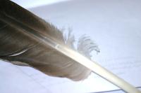 <img200*0:stuff/z/169023/Feather%2520Reference%2520Photos/i1279903432_11.jpg>