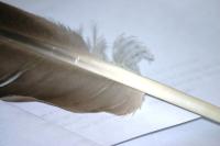 <img200*0:stuff/z/169023/Feather%2520Reference%2520Photos/i1279903433_25.jpg>