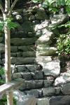 <img100*0:stuff/z/169023/Forest%2520Stairs.2/i1278950343_1.jpg>