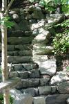 <img100*0:stuff/z/169023/Forest%2520Stairs.2/i1278950344_4.jpg>