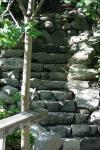 <img100*0:stuff/z/169023/Forest%2520Stairs.2/i1278950344_8.jpg>
