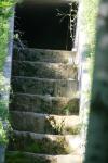 <img100*0:stuff/z/169023/Forest%2520Stairs/i1278950349_14.jpg>
