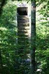 <img100*0:stuff/z/169023/Forest%2520Stairs/i1278950349_17.jpg>
