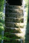 <img100*0:stuff/z/169023/Forest%2520Stairs/i1278950349_19.jpg>