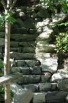 <img100*0:stuff/z/169023/Forest%2520Stairs/i1278950349_21.jpg>