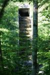 <img100*0:stuff/z/169023/Forest%2520Stairs/i1278950349_22.jpg>