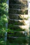 <img100*0:stuff/z/169023/Forest%2520Stairs/i1278950349_24.jpg>