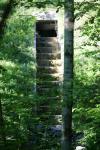 <img100*0:stuff/z/169023/Forest%2520Stairs/i1278950349_27.jpg>