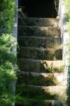 <img100*0:stuff/z/169023/Forest%2520Stairs/i1278950349_3.jpg>