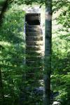 <img100*0:stuff/z/169023/Forest%2520Stairs/i1278950349_32.jpg>