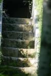 <img100*0:stuff/z/169023/Forest%2520Stairs/i1278950349_4.jpg>