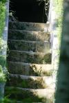 <img100*0:stuff/z/169023/Forest%2520Stairs/i1278950349_9.jpg>