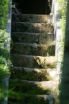 <img100*0:stuff/z/169023/Forest%2520Stairs/i1278950350_37.jpg>