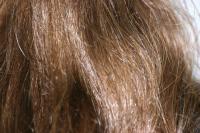 <img200*0:stuff/z/169023/more%2520hair/i1279903096_4.jpg>