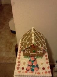 <img0*250:stuff/z/178728/Gingerbread%2520house/IMG_20111209_220327.jpg>