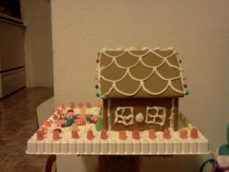 <img0*250:stuff/z/178728/Gingerbread%2520house/IMG_20111209_220429.jpg>