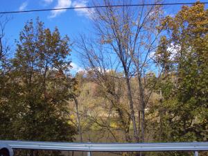 <img300*0:stuff/z/182611/Colorful%2520Trees%2520and%2520Leaves/i1287865803_14.jpg>
