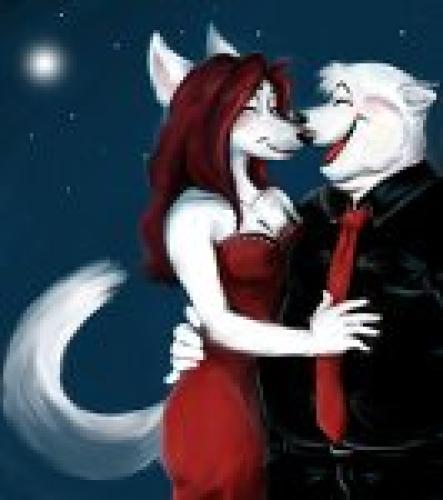 <img0*500:stuff/z/186786/Werewolf%2520lovers%2520and%2520Mythical%2520creatures/i1229091915_1.jpg>