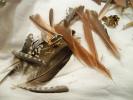 <img0*100:stuff/z/39710/feathers%2520by%2520hanhepi/feather%20pile.JPG>
