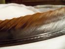 <img0*100:stuff/z/39710/feathers%2520by%2520hanhepi/feather%20stick%20detail.JPG>