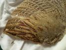 <img0*100:stuff/z/39710/feathers%2520by%2520hanhepi/pheasant%20wing3.JPG>