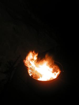 <img300*0:stuff/z/49339/Imbolc%2520Fire%25202upload/i1233632568_10.jpg>