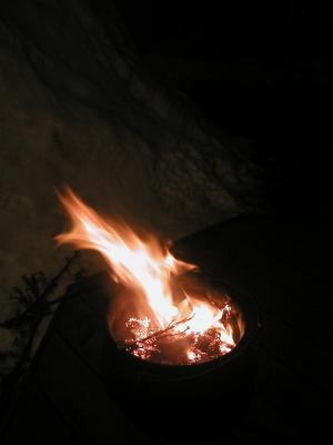 <img300*0:stuff/z/49339/Imbolc%2520Fire%25202upload/i1233632568_6.jpg>