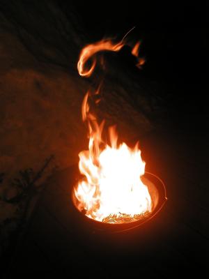 <img300*0:stuff/z/49339/Imbolc%2520Fire%25202upload/i1233632568_8.jpg>