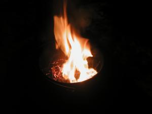 <img300*0:stuff/z/49339/Imbolc%2520Fire%25202upload/i1233632570_26.jpg>