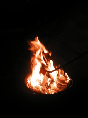 <img300*0:stuff/z/49339/Imbolc%2520Fire%25202upload/i1233636809_34.jpg>