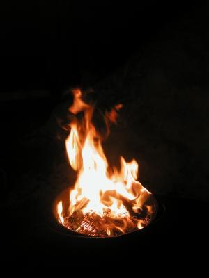 <img300*0:stuff/z/49339/Imbolc%2520Fire%25202upload/i1233636809_37.jpg>