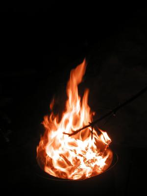 <img300*0:stuff/z/49339/Imbolc%2520Fire%25202upload/i1233636809_39.jpg>