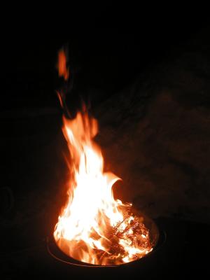 <img300*0:stuff/z/49339/Imbolc%2520Fire%25202upload/i1233636809_40.jpg>