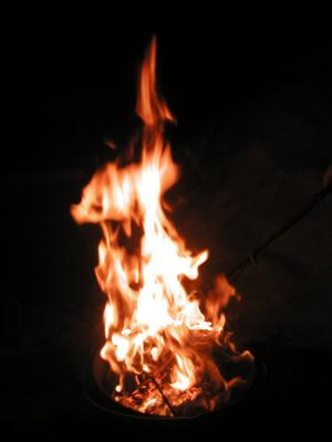 <img300*0:stuff/z/49339/Imbolc%2520Fire%25202upload/i1233641719_1.jpg>