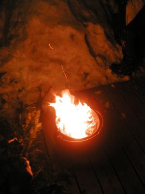 <img300*0:stuff/z/49339/Imbolc%2520Fire%25202upload/i1233641719_3.jpg>