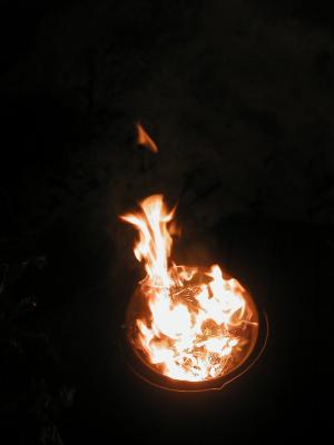 <img300*0:stuff/z/49339/Imbolc%2520Fire%25202upload/i1233641719_4.jpg>